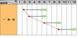 サカタダイエット作型