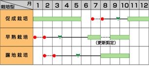 サカタごちそうナス作型