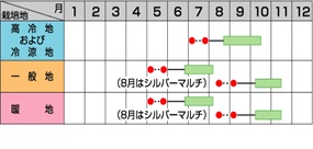 サカタ献夏３７号作型