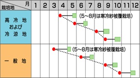 サカタきよすみ作型