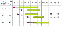 サカタ夏さんご作型