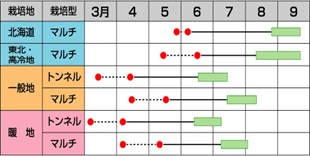 サカタピーターコーン