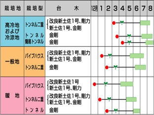 サカタプリンス作型