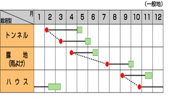 サカタ緑秀作型