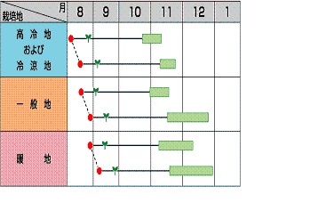 サカタさとぶき６１３作型