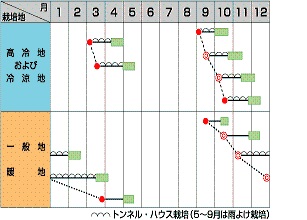 サカタトラッド７作型