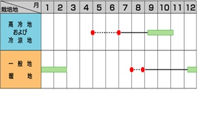 サカタ冬藍作型