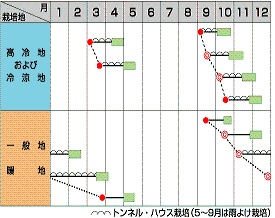 サカタクロノス作型