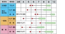 サカタピーター６１０作型