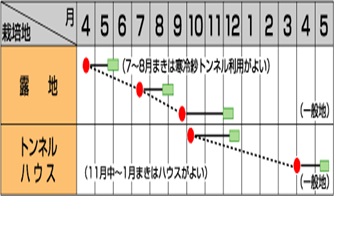 サカタ青帝作型