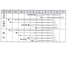 タキイYR天空作型