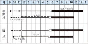 アトン作型