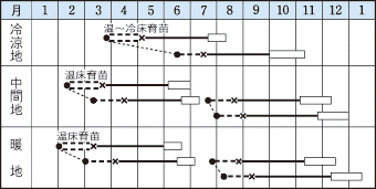 タキイ彩風作型