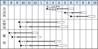 タキイ味春作型