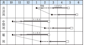 バークレー作型