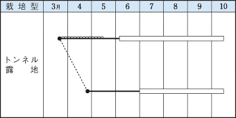 タキイベニー作型