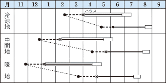 タキイ紅まくら作型