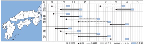 弁天丸作型