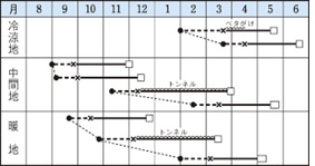 極早生シスコ作型表