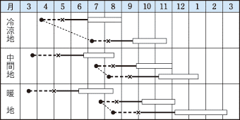 タキイハイクロップ作型