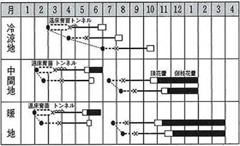 ハイツSP作型