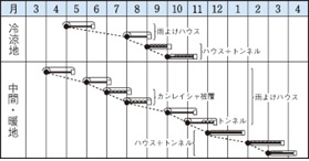 ハットリ君作型