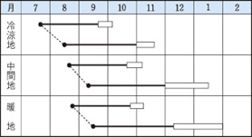 早や太り聖護院作型