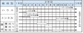 広巾にら作型