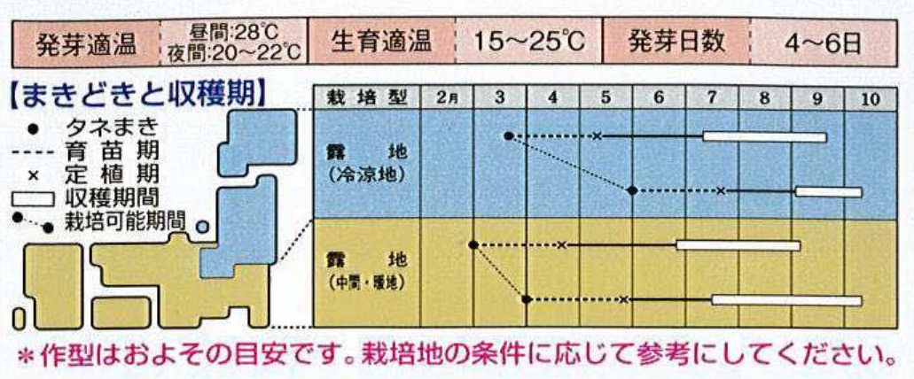 ホーム桃太郎作型