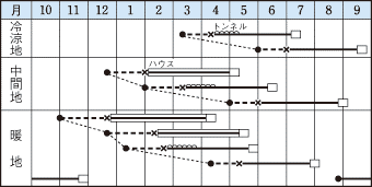 タキイほっこり１３３作型