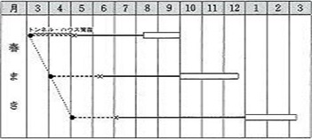 ホワイトタイガー作型