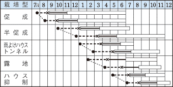 タキイフルーピーイエロー作型