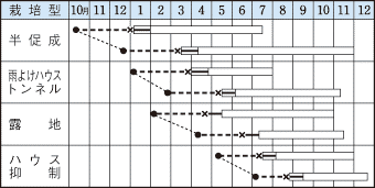 タキイ伏見甘長作型
