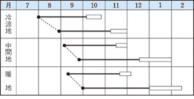 冬どり大蔵作型