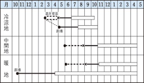 カーリパラマウント作型