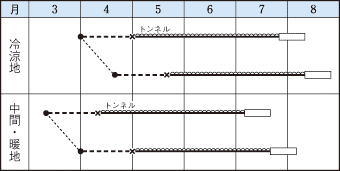 タキイかわいーな作型
