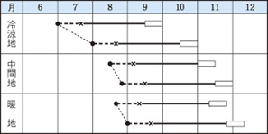 黄ごころ６５作型
