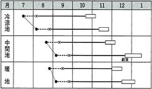 黄ごころ８０作型