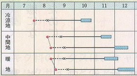 きらぼし７７作型