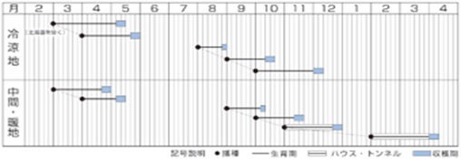 コーラルリーフ作型