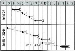 タキイ菜々子作型