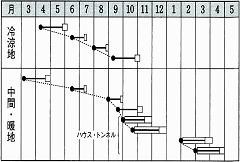 タキイ菜々音作型