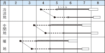 タキイニューこだま作型