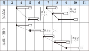 おかめ作型