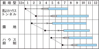 タキイピー太郎作型