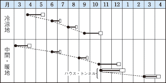 タキイ楽天作型