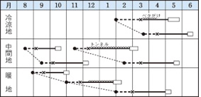 レッドファイヤー作型