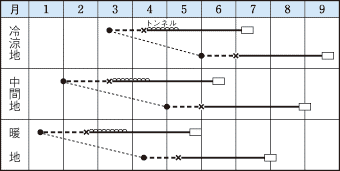 タキイロロン作型