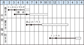 サラダむすめ作型