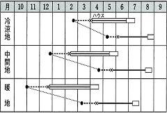 タキイ秀山作型